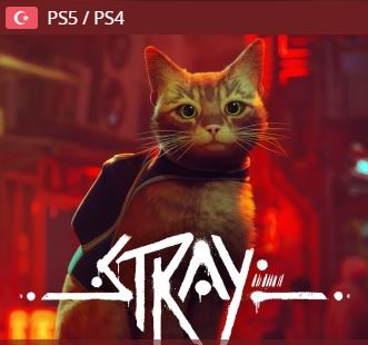Stray Ps4-Ps5 (TR)